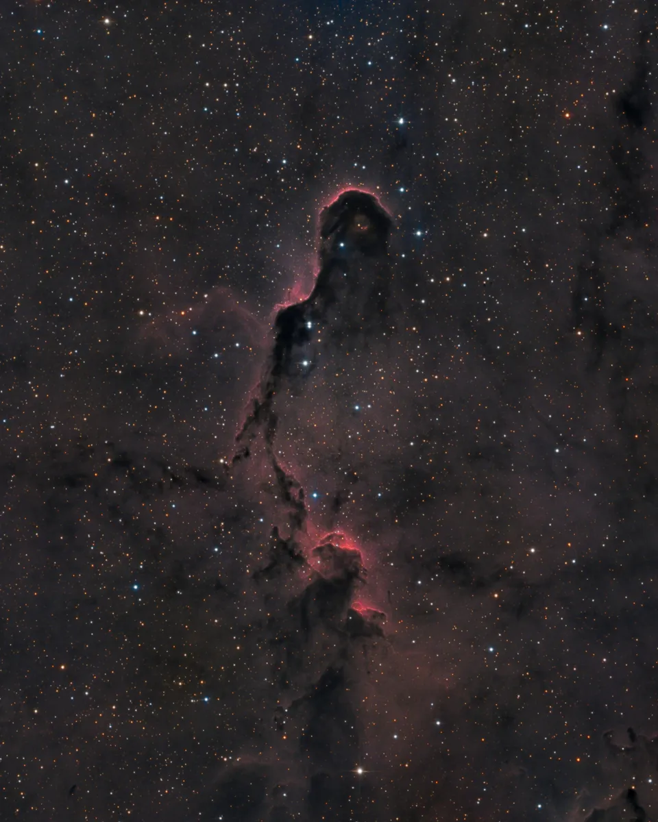 Elephant Trunk Nebula: astrophotograph by Pete Lawrence