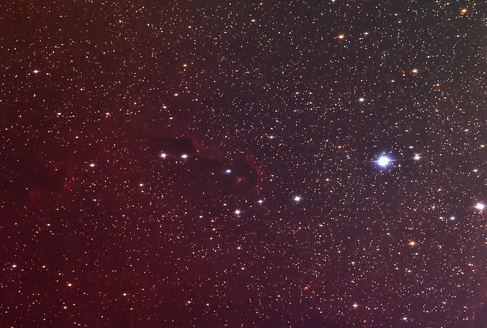 Elephant Trunk Nebula: astrophotograph by Pete Lawrence
