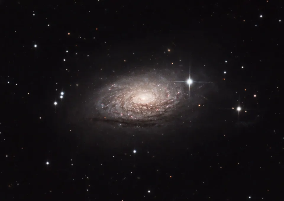 Sunflower Galaxy: astrophotograph by Pete Lawrence