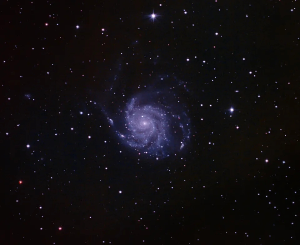 The Pinwheel Galaxy: astrophotograph by Pete Lawrence