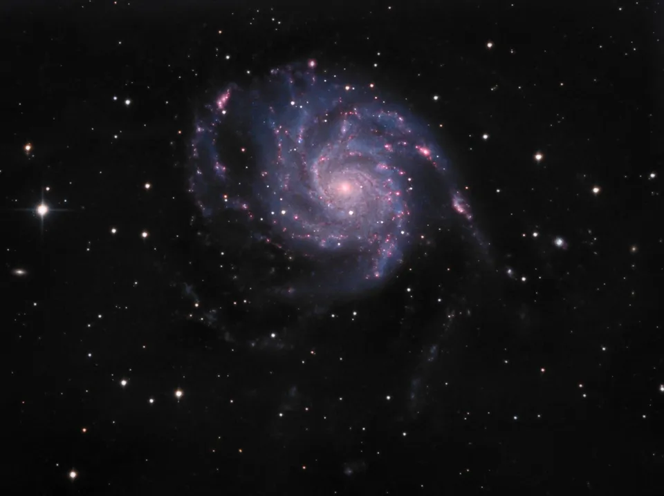 The Pinwheel Galaxy: astrophotograph by Pete Lawrence