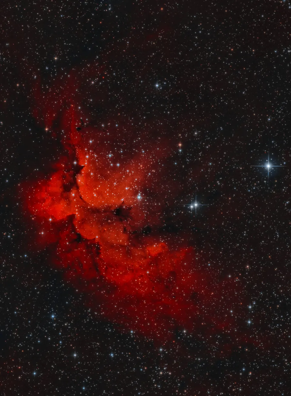 Wizard Nebula: astrophotograph by Pete Lawrence